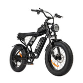 Ridstar Q20 Electric Bike - 500W Motor 48V15Ah Battery 20" Tires Mechanical Disc Brakes - Black